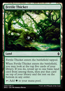 Fertile Thicket